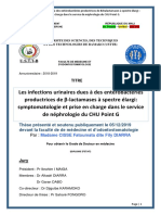 Les infections urinaires dues à des entérobactéries productrices de β-lactamases à spectre élargi: symptomatologie et prise en charge dans le service de néphrologie du CHU Point G