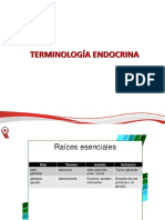 Terminologia Endocrina