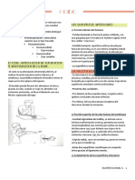 Codo biomecanica