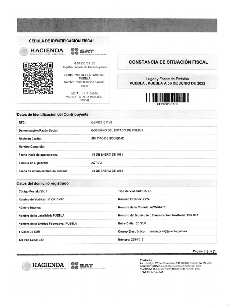 RFC Gobierno | PDF