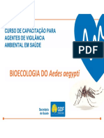 BIOECOLOGIA DO Aedes Aegypti