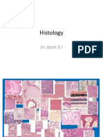 200 L Histology