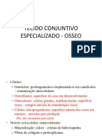 Aula 6 Histologia Humana - Tecido Conjuntivo Especializado Ósseo