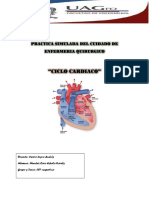 Ciclo Cardiaco