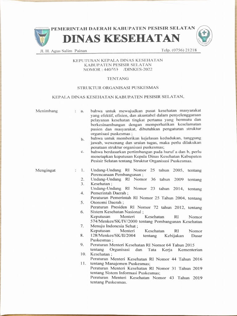 SK Struktur Organisasi Puskesmas PMK 43 TH 2019 | PDF