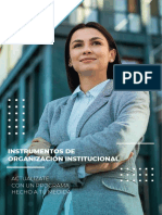 Instrumentos de Organización Institucional: Actualízate Con Un Programa Hecho A Tu Medida