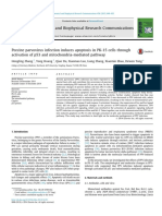 Parvovirus Porcino Induce Apoptosis en Células PK-15