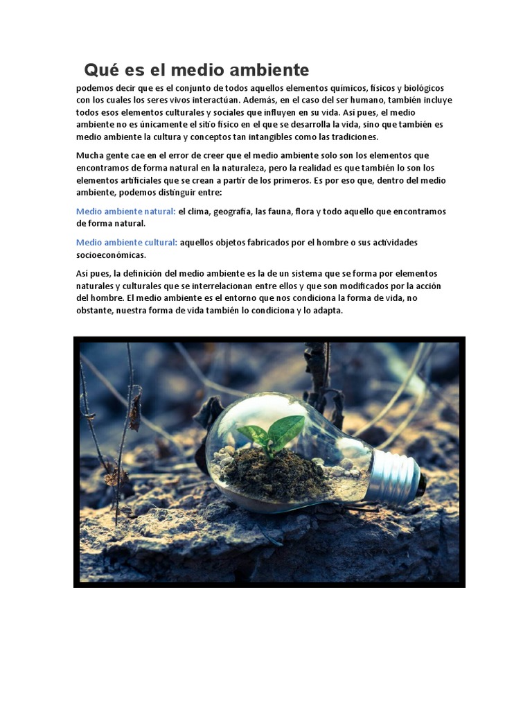 Qué Es El Medio Ambiente | PDF | Biodiversidad | Entorno natural