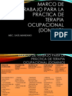 Marco de Trabajo para La Practica de La T.O Dominio (Aota)