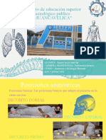 Trabajo1 Anatomia y Fisiologia