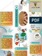 Parabola Del Grano de Mostaza