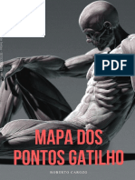 Mapa Dos Pontos Gatilho 12