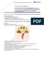 20+ Contoh Soal Untuk Kelas 5 SD MI Tema 1 Subtema 3 Pengetahuan