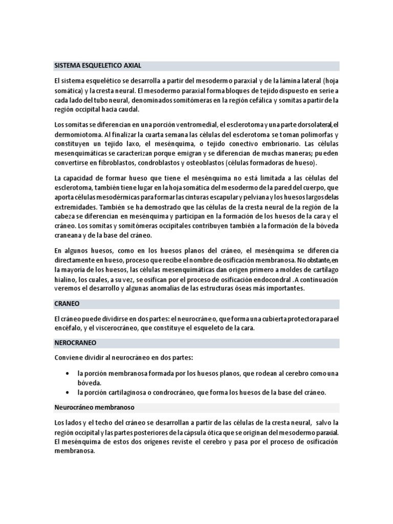 Esqueleto Axial Embriologia Pdf Cráneo Vértebra