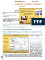 Teorica 14. Fisiopatologia de La Insuficiencia Renal