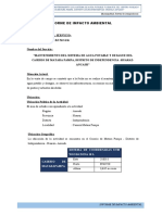 Nforme de Impacto Ambiental