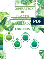 CS100 G1 Respiration in Plants