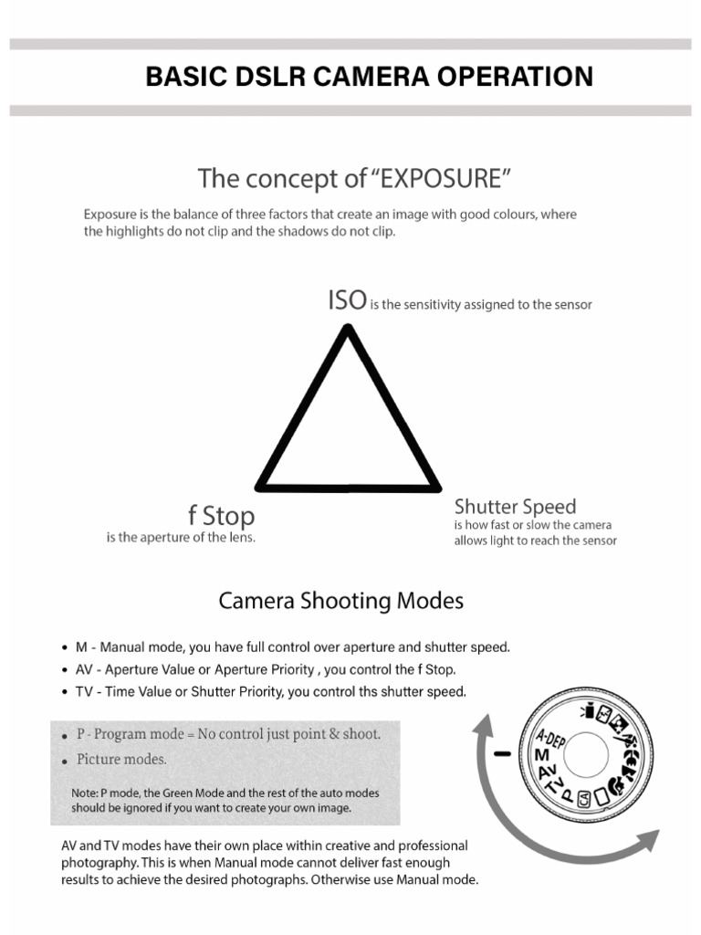 Camera Basics PDF
