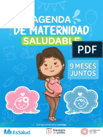 Agenda de Maternidad Saludable