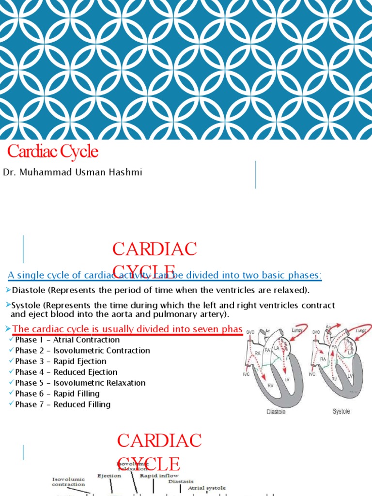 Understanding the Cardiac Cycle Phases | PDF | Heart Valve | Diastole