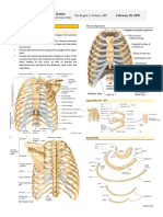 2 Skeletal System Thorax, Upper and Lower Limbs Doc Nolasco Trans