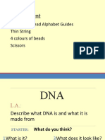 Lesson 1 - DNA