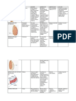 Pared Anterolateral Del Torax