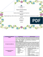 Organizador Gráfico para Establecer Diferencias Entre Las Estrategias de Planificación en Los Niveles Primario y Secundario