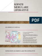 NG Proliferative Neproliferative