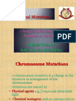 Chromosomal Mutations