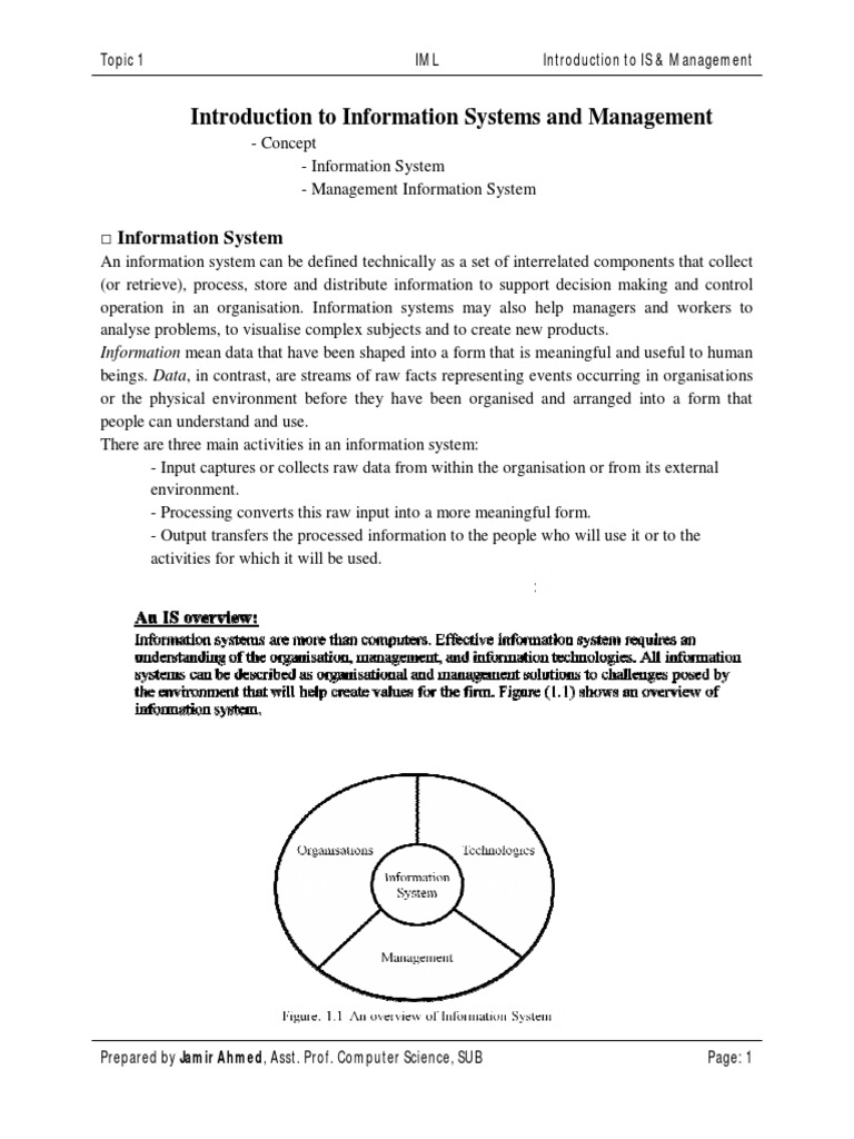 IML: Intro to Information Systems | PDF | Information | Information System