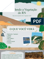 Geografia Vegetação RN