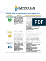 Nurturing Care Components 1