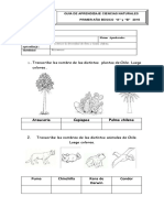 Transcribe Los Nombre de Las Distintas Plantas de Chile. Luego Colorea