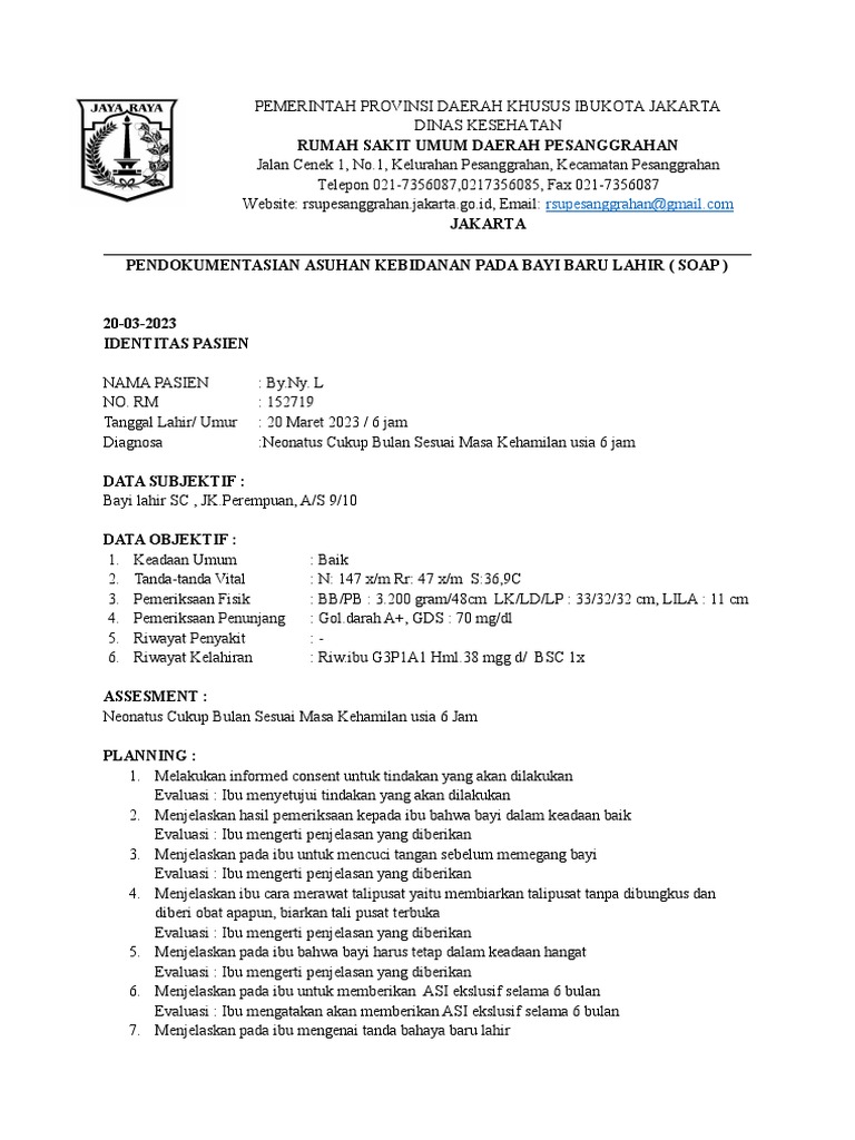 Melakukan Asuhan Bayi Baru Lahir Normal | PDF
