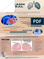 Fisiopatologia Del Derrame Pleural