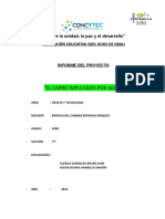 INFORME DEL PROYECTO 3ero C