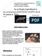 Análisis de La Ecología Reproductiva de La Taricaya