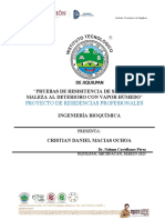 Modificación de Pizano REPORTE FINAL 1