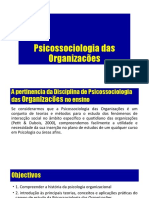Psicossociologia Das Organizacoes- Aula I