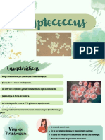 Cryptococcus