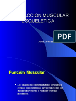 Contracción Muscular Esquelética