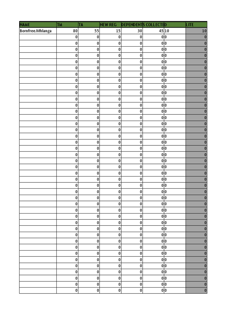 Data Summary and Financial Report | PDF