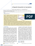 Formation Pathways of Magnetite Nanoparticles by Coprecipitation Method