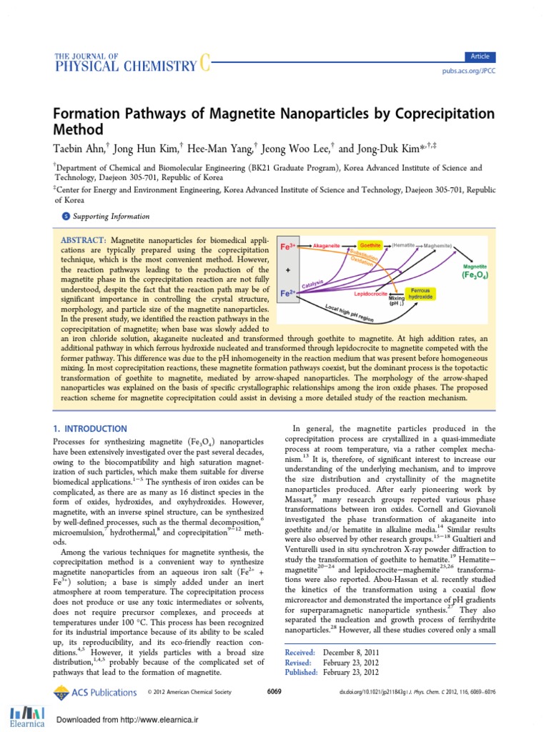 Formation Pathways of Magnetite Nanoparticles by Coprecipitation Method ...
