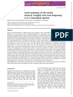 Journal of Anatomy - 2018 - Frey - The Remarkable Vocal Anatomy of The Koala Phascolarctos Cinereus Insights Into