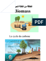 Chap7 Biomasse