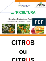 citrusdemesa-160401113529