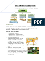 La Alimentación en Los Seres Vivos