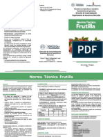 Frutilla: Norma Técnica